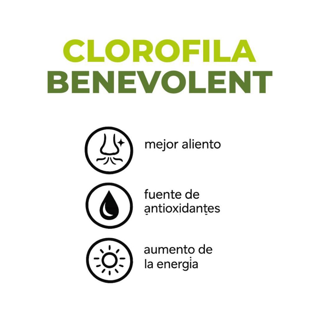 Clorofila Líquida Benevolent 60 ml